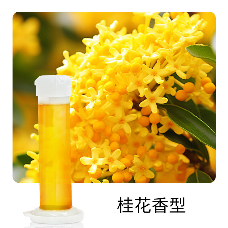 Désodorisant Naturel pour Toilette (Lot de 9 pcs)